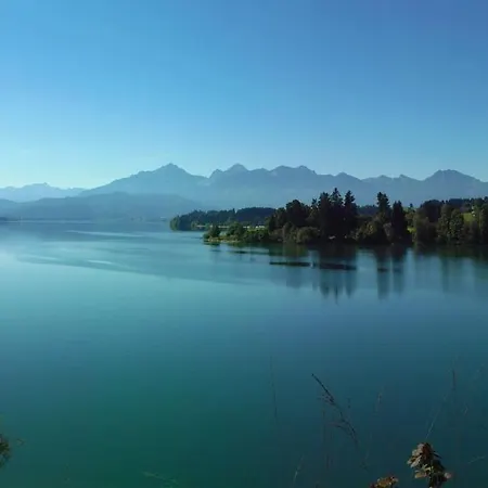 Neuschwansteinblick 118